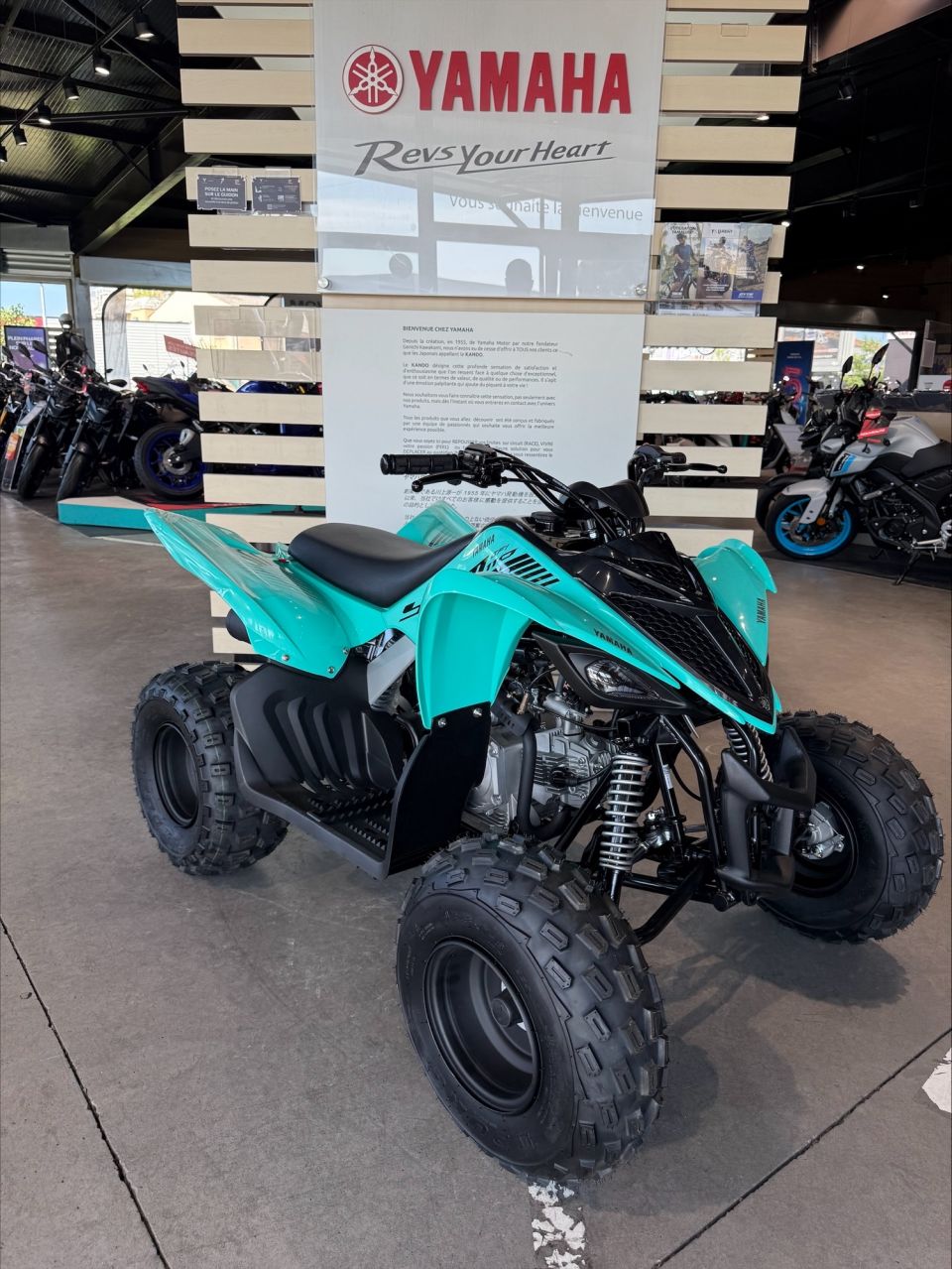 YAMAHA YFM 90 RAPTOR 4