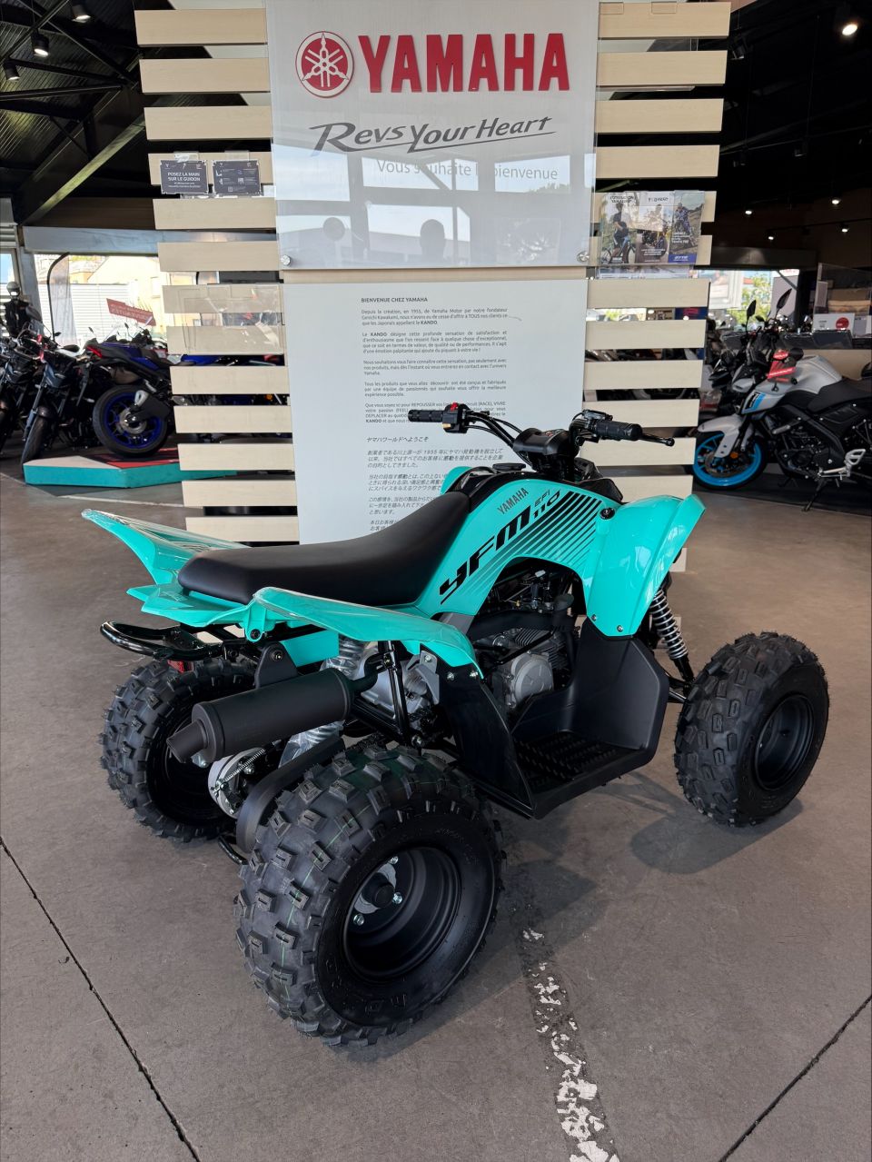 YAMAHA YFM 90 RAPTOR 4
