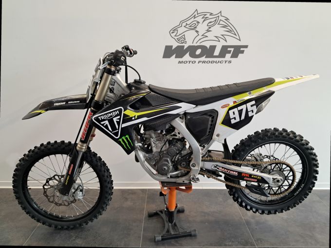 TRIUMPH TF 250-X 4
