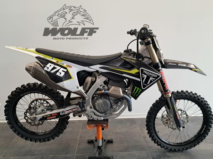 TRIUMPH TF 250-X 4