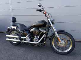 HARLEY-DAVIDSON SOFTAIL STANDARD 1745 - 2021