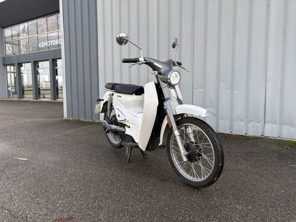 MOTRON CUBERTINO 50 4