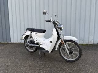 MOTRON CUBERTINO 50 - 2022