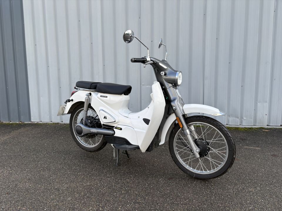 MOTRON CUBERTINO 50 4