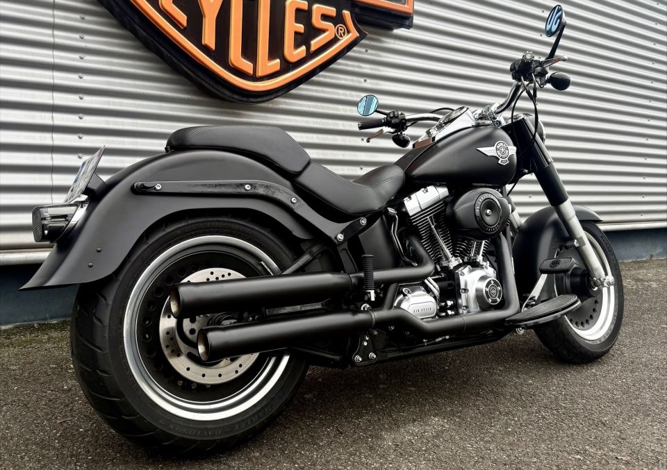 HARLEY-DAVIDSON SOFTAIL FAT BOY 1584 SPECIAL 4