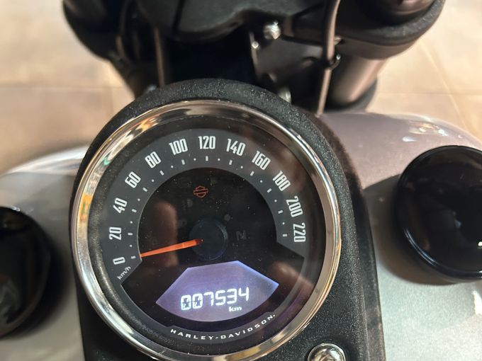 HARLEY-DAVIDSON SOFTAIL LOW RIDER 1868 S 4