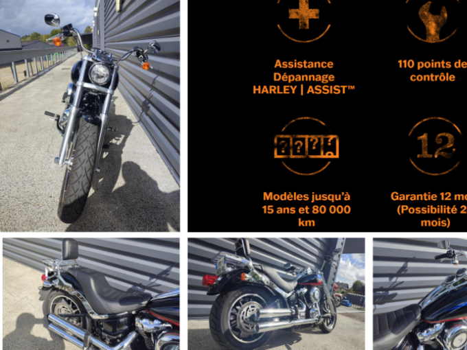 HARLEY-DAVIDSON SOFTAIL LOW RIDER 1745 4