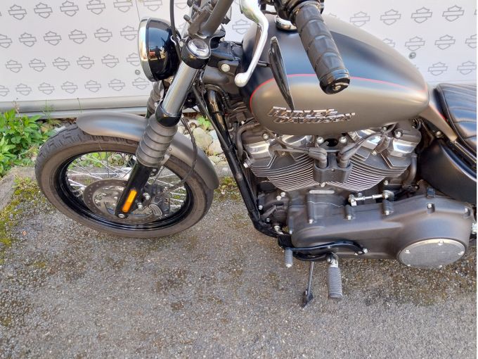 HARLEY-DAVIDSON SOFTAIL STREET BOB 1745 4