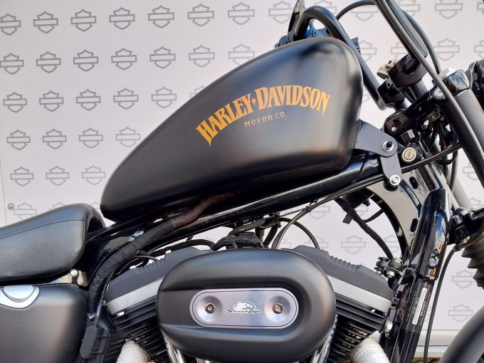 HARLEY-DAVIDSON SPORTSTER IRON 883 4