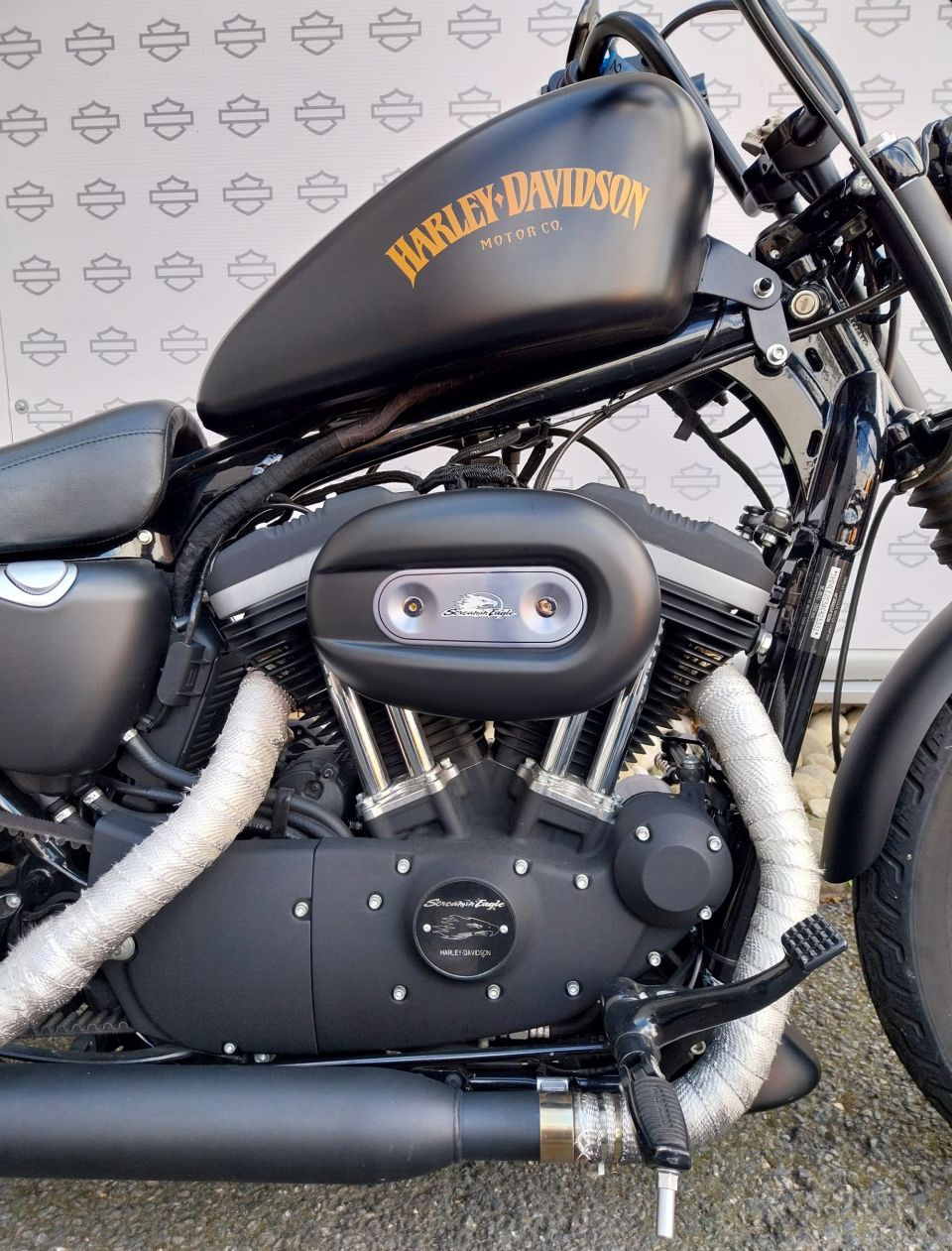 HARLEY-DAVIDSON SPORTSTER IRON 883 4