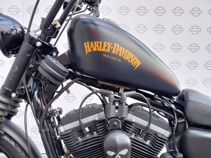 HARLEY-DAVIDSON SPORTSTER IRON 883 4