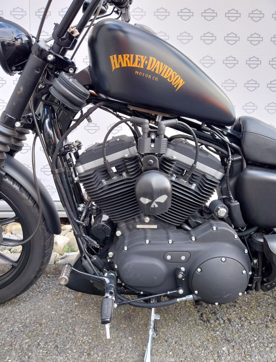 HARLEY-DAVIDSON SPORTSTER IRON 883 4