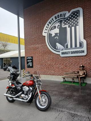 HARLEY-DAVIDSON SPORTSTER 1200 CX - 2014