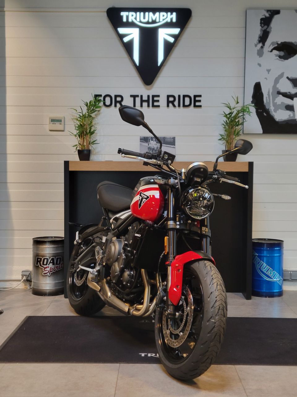 TRIUMPH TRIDENT 660 4