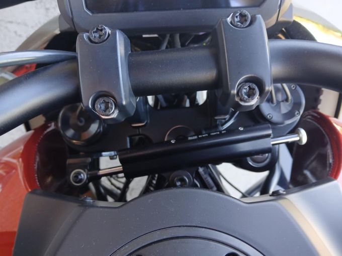 HARLEY-DAVIDSON ADVENTURE PAN AMERICA 1250 SPECIAL 4