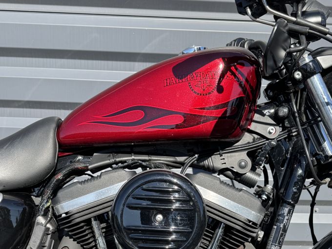 HARLEY-DAVIDSON SPORTSTER IRON 883 4