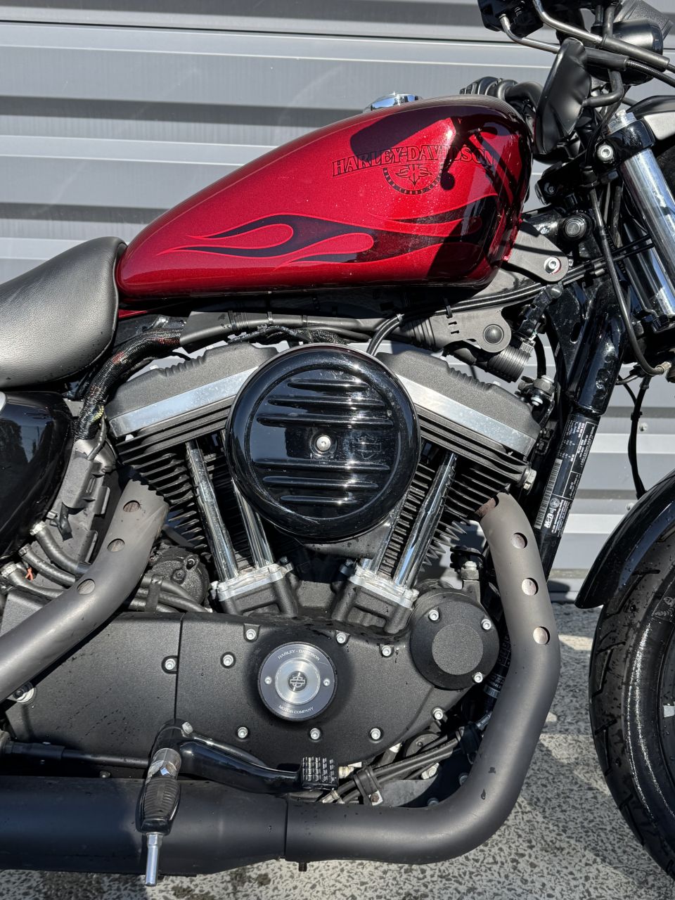 HARLEY-DAVIDSON SPORTSTER IRON 883 4