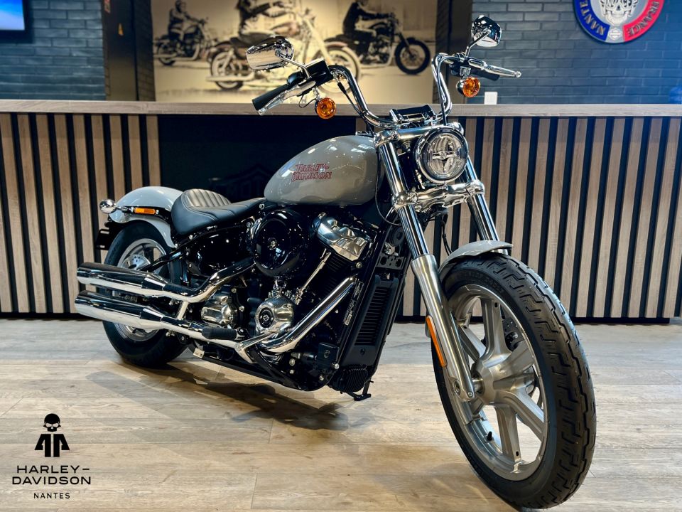 HARLEY-DAVIDSON SOFTAIL STANDARD 1745 4