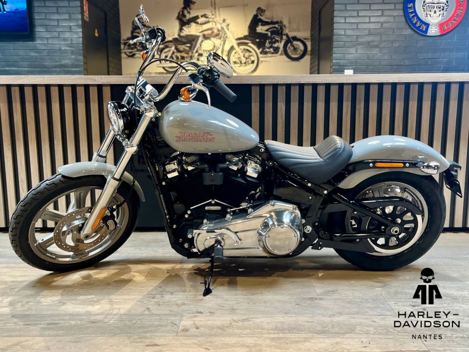 HARLEY-DAVIDSON SOFTAIL STANDARD 1745 4