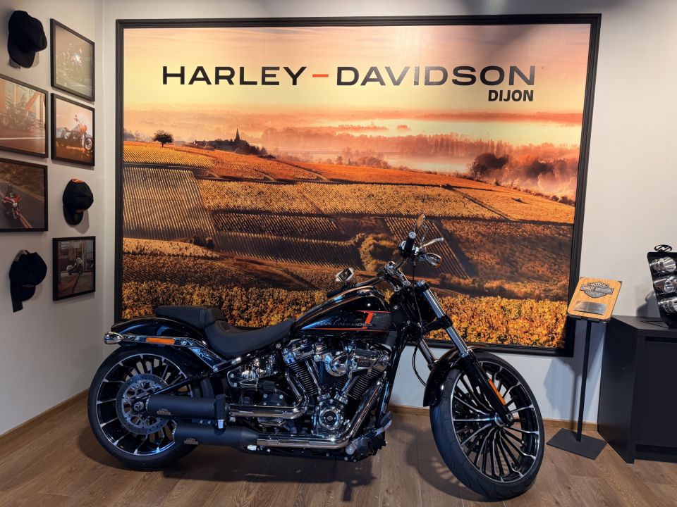 HARLEY-DAVIDSON SOFTAIL BREAKOUT 1923 4