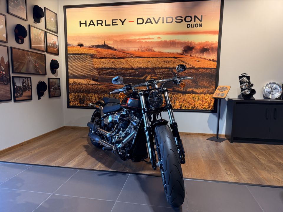 HARLEY-DAVIDSON SOFTAIL BREAKOUT 1923 4