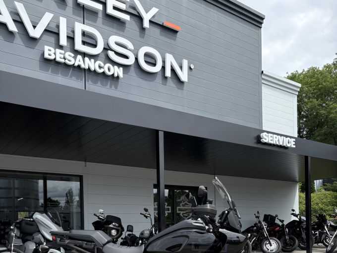 HARLEY-DAVIDSON ADVENTURE PAN AMERICA 1250 SPECIAL 4