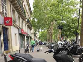 HONDA NSS FORZA 125 - 2025