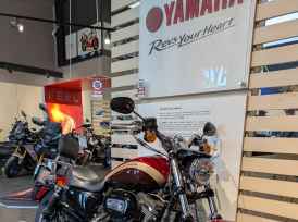 HARLEY-DAVIDSON SPORTSTER 1200 XL - 2019
