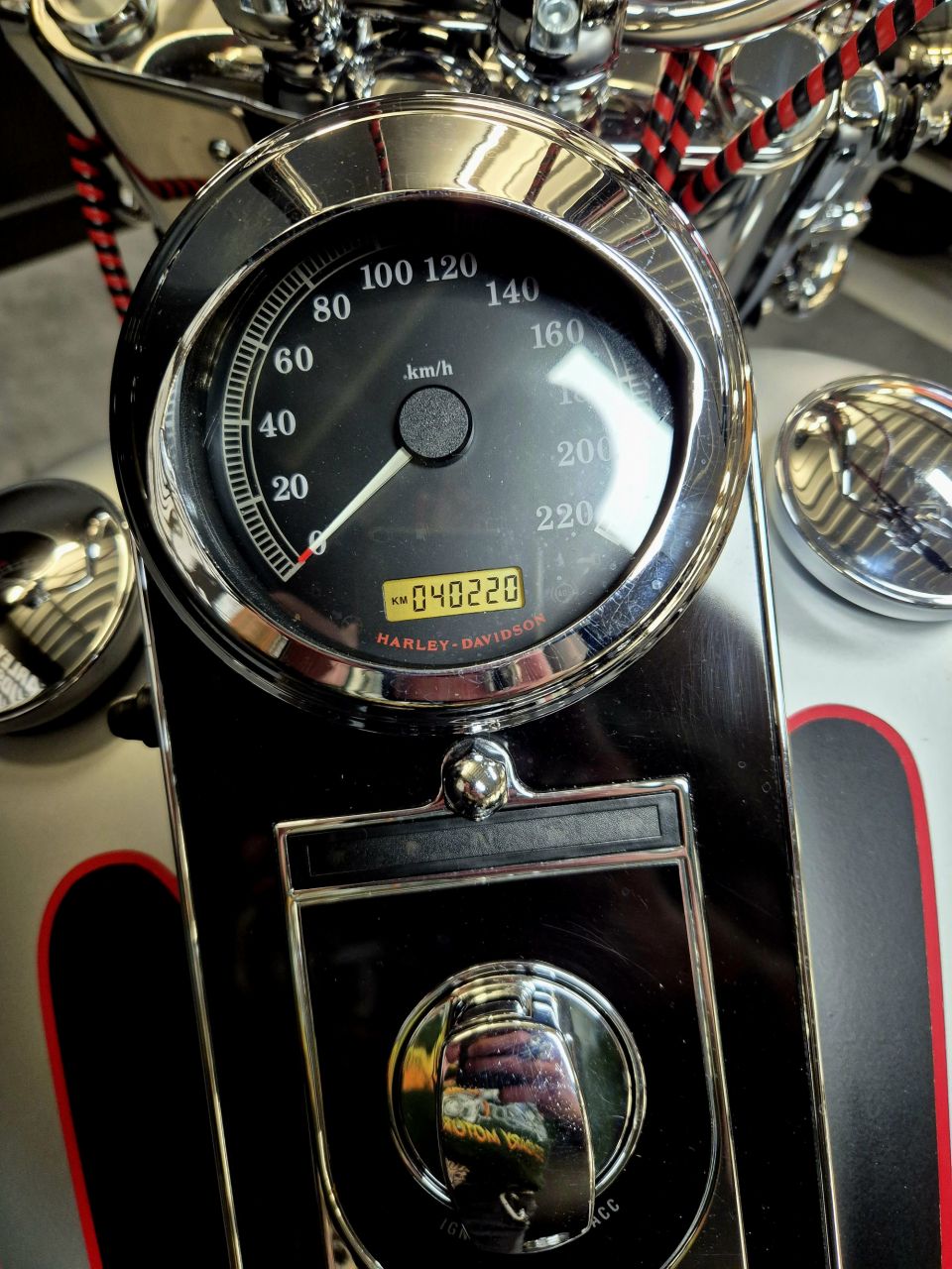 HARLEY-DAVIDSON SOFTAIL DELUXE 1584 4