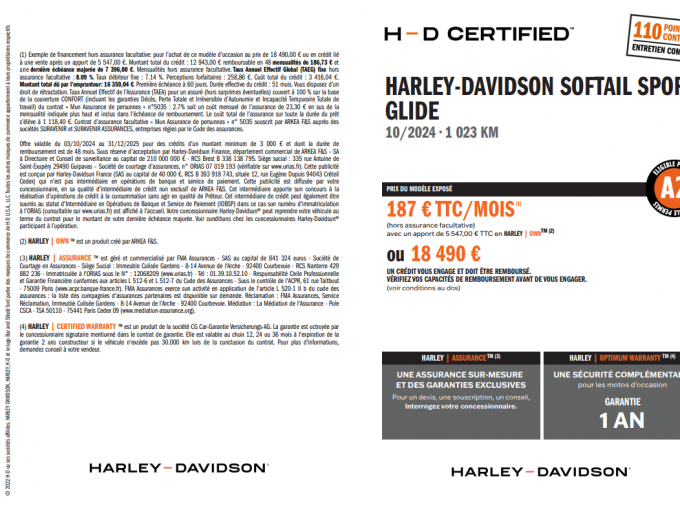 HARLEY-DAVIDSON SOFTAIL SPORT GLIDE 1745 4