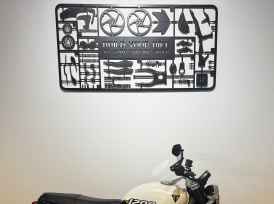 TRIUMPH SPEED TWIN 1200 - 2024