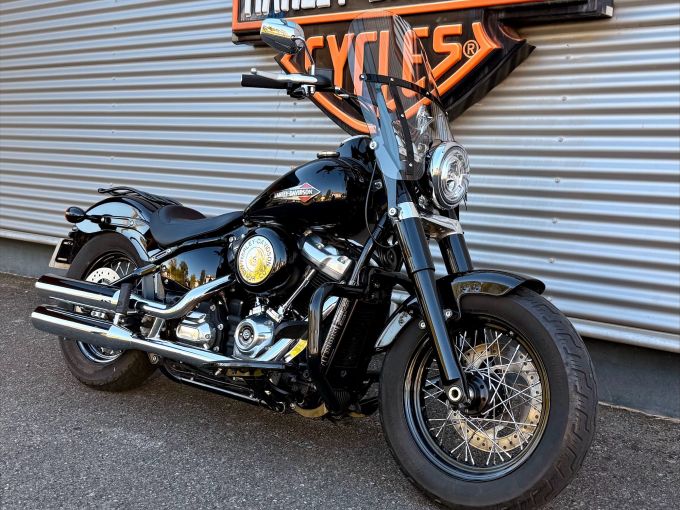 HARLEY-DAVIDSON SOFTAIL SLIM 1745 4