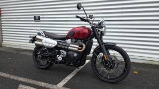 TRIUMPH SCRAMBLER 1200 - 2024
