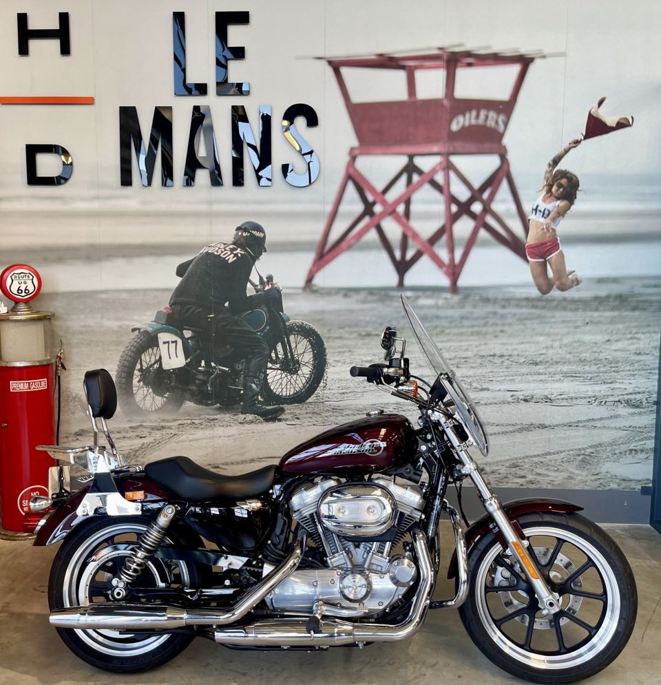 HARLEY-DAVIDSON SPORTSTER 883 LOW 4