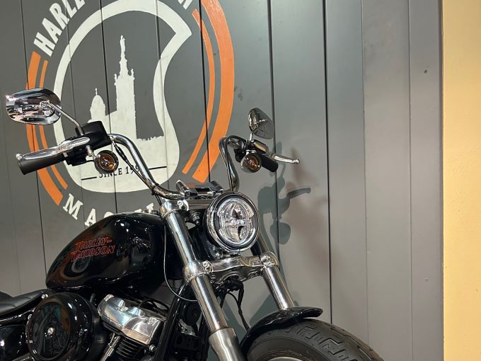 HARLEY-DAVIDSON SOFTAIL STANDARD 1745 4