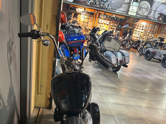 HARLEY-DAVIDSON SOFTAIL STANDARD 1745 4
