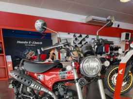 HONDA DAX 125 - 2023