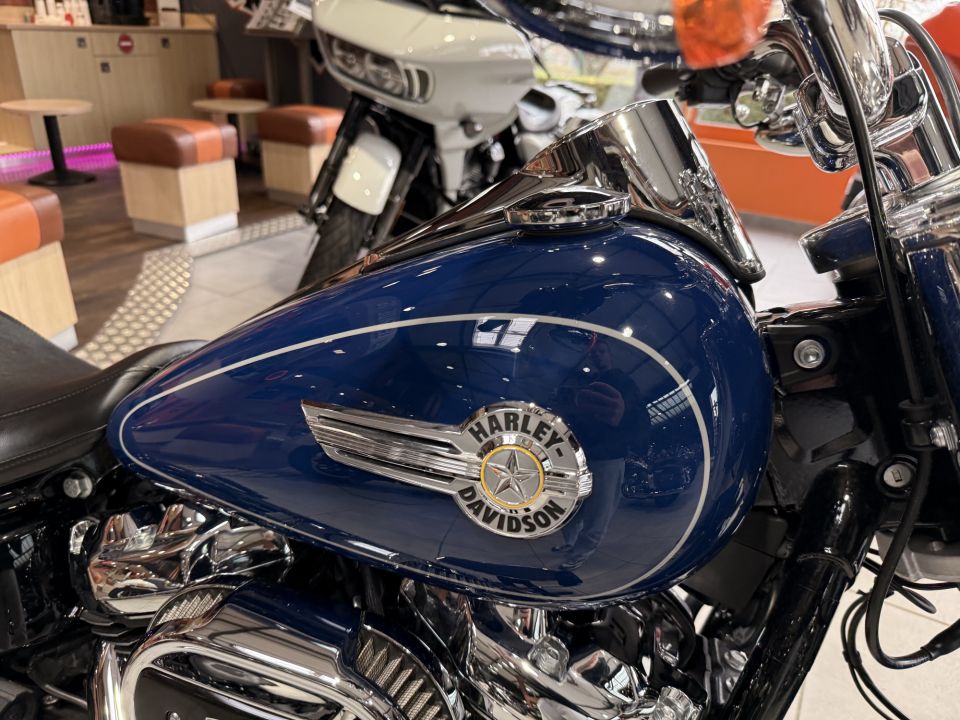 HARLEY-DAVIDSON SOFTAIL FAT BOY 1868 4