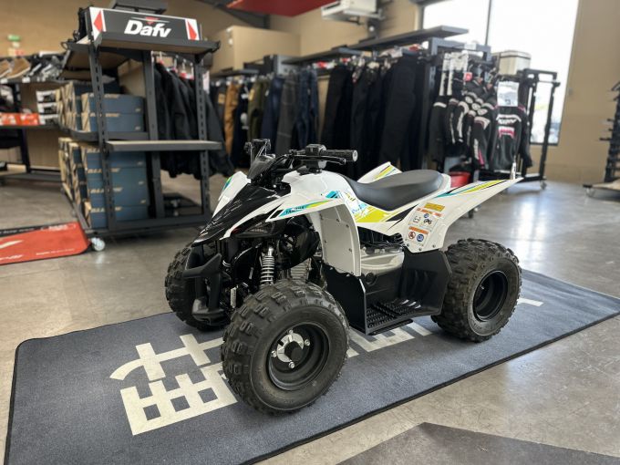 YAMAHA YFZ 50 RAPTOR 4