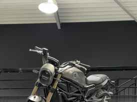 BENELLI LEONCINO 800 - 2025