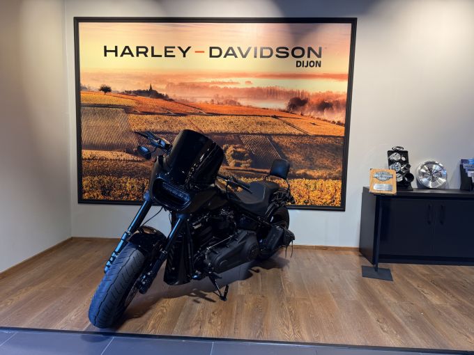 HARLEY-DAVIDSON SOFTAIL FAT BOB 1868 4