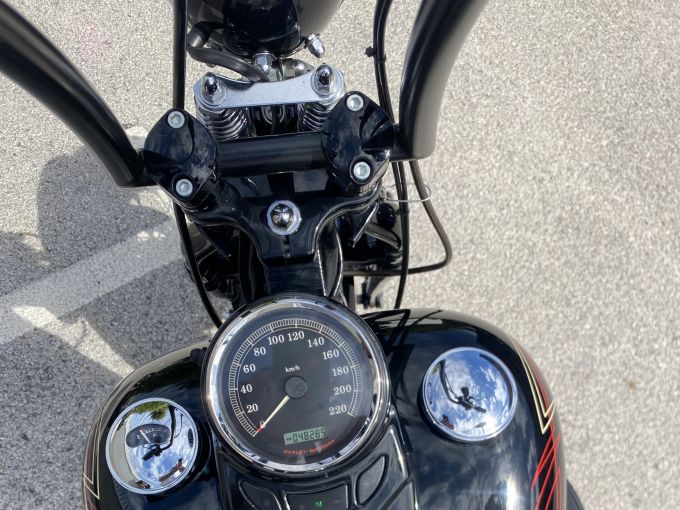 HARLEY-DAVIDSON SOFTAIL SPRINGER 1584 CROSS BONES 4