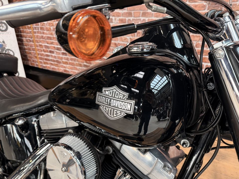 HARLEY-DAVIDSON SOFTAIL SLIM 1690 4