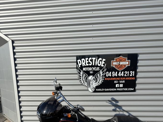 HARLEY-DAVIDSON DYNA LOW RIDER 1690 4
