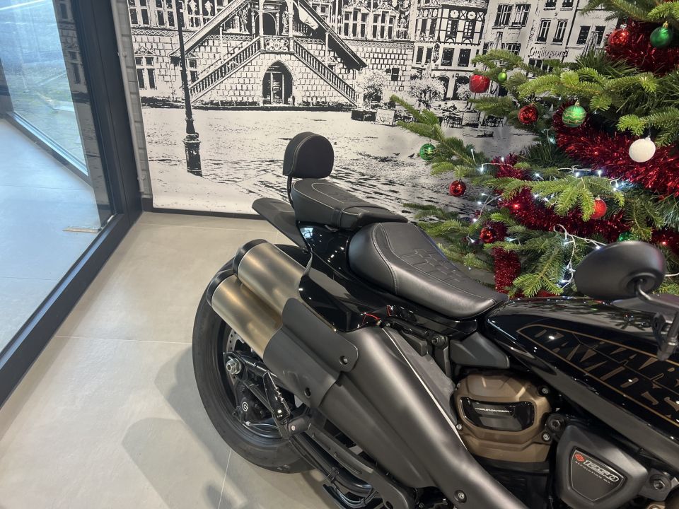 HARLEY-DAVIDSON SPORTSTER 1250 S 4