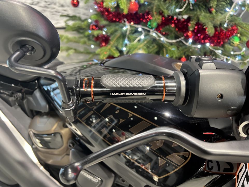 HARLEY-DAVIDSON SPORTSTER 1250 S 4