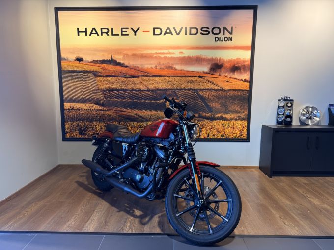 HARLEY-DAVIDSON SPORTSTER IRON 883 4