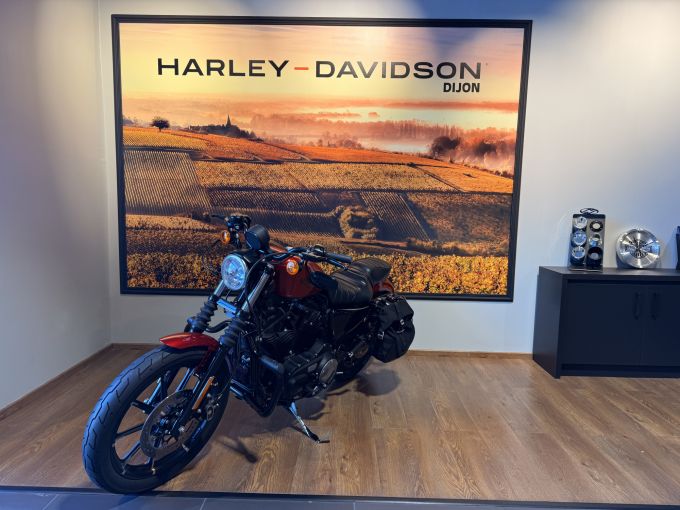 HARLEY-DAVIDSON SPORTSTER IRON 883 4
