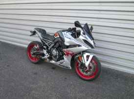 SUZUKI GSX-8R - 2024