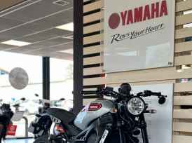 YAMAHA XSR 900 - 2021
